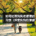 如何处理狗狗吃便便的习惯(探索狗狗吃便便的原因及有效的解决方法)(图2) 狗狗吃便便原因及解决方法全攻略(图2)