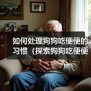 如何处理狗狗吃便便的习惯(探索狗狗吃便便的原因及有效的解决方法)(图4) 狗狗吃便便原因及解决方法全攻略(图4)