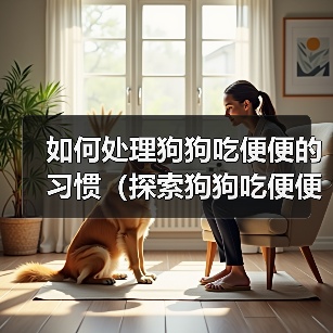 狗狗吃便便原因及解决方法全攻略
