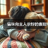 猫咪向主人示好的表现(图4) 猫咪示好行为全解析|如何读懂猫咪的爱(图4)