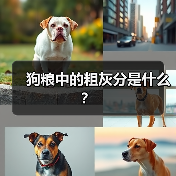 狗粮中的粗灰分是什么?(图4) 狗粮中的粗灰分是什么|成分解析与选购指南(图4)
