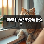 狗粮中的粗灰分是什么｜成分解析与选购指南