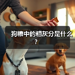 狗粮中的粗灰分是什么?(图2) 狗粮中的粗灰分是什么|成分解析与选购指南(图2)