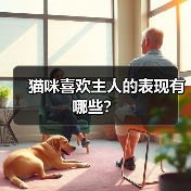 猫咪喜欢主人的表现有哪些?(图4) 猫咪喜欢主人的表现有哪些|常见行为全解析(图4)