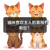 猫咪喜欢主人的表现有哪些｜常见行为全解析
