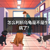 怎么判断乌龟是不是生病了?(图4) 乌龟生病常见症状及判断方法|养龟必备指南(图4)