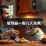 星期猫发病时间及预防方法｜养猫必看指南(图4)