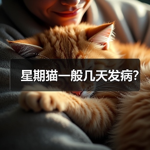 星期猫发病时间及预防方法｜养猫必看指南(图3)