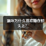 猫咪为什么喜欢睡在枕头上?(图2) 猫咪喜欢睡枕头的原因解析|科学养猫指南(图2)
