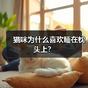 猫咪为什么喜欢睡在枕头上?(图4) 猫咪喜欢睡枕头的原因解析|科学养猫指南(图4)
