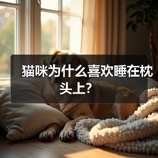 猫咪为什么喜欢睡在枕头上?(图3) 猫咪喜欢睡枕头的原因解析|科学养猫指南(图3)