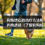 狗狗结石的治疗方法和药物选择(了解狗狗结石的发病原因,合理用药是关键)(图2) 狗狗结石治疗与用药指南|科学应对关键(图2)