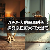 以巴哥犬的遛弯时长(探究以巴哥犬每次遛弯的最佳时长)(图2) 以巴哥犬遛弯时长指南|科学安排助健康(图2)