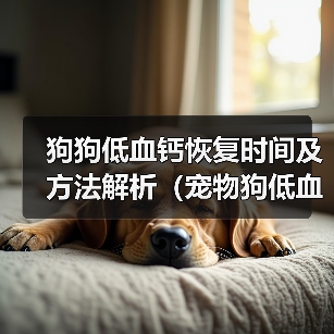 狗狗低血钙恢复时间及方法解析(宠物狗低血钙问题分析与解决方案探讨)(图2) 狗狗低血钙恢复方法与时间解析|实用指南(图2)