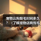 宠物店狗剪毛时间多久｜全面解析影响因素与护理要点(图2)