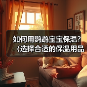 如何用鹦鹉宝宝保温?(选择合适的保温用品)(图2) 鹦鹉宝宝保温技巧|选择合适保温用品全攻略(图2)