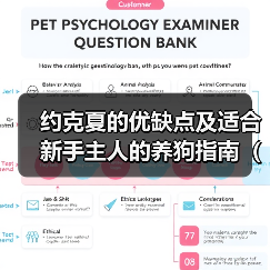 约克夏的优缺点及适合新手主人的养狗指南(了解约克夏的特点和适应性,为新手主人提供合适的养狗建议)(图2) 约克夏优缺点分析适合新手养狗指南(图2)