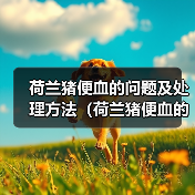 荷兰猪便血的问题及处理方法(荷兰猪便血的原因、危险性和应对措施)(图3) 荷兰猪便血原因与处理方法|宠物健康实用指南(图3)