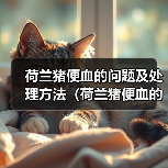 荷兰猪便血的问题及处理方法(荷兰猪便血的原因、危险性和应对措施)(图2) 荷兰猪便血原因与处理方法|宠物健康实用指南(图2)