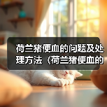 荷兰猪便血的问题及处理方法(荷兰猪便血的原因、危险性和应对措施)(图4) 荷兰猪便血原因与处理方法|宠物健康实用指南(图4)