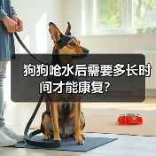 狗狗呛水后需要多长时间才能康复?(图4) 狗狗呛水恢复时间及护理要点|全面指南(图4)