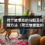 荷兰猪便血原因与处理方法｜宠物健康实用指南