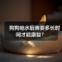 狗狗呛水恢复时间及护理要点｜全面指南