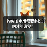 狗狗呛水后需要多长时间才能康复?(图2) 狗狗呛水恢复时间及护理要点|全面指南(图2)