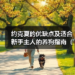 约克夏的优缺点及适合新手主人的养狗指南(了解约克夏的特点和适应性,为新手主人提供合适的养狗建议)(图4) 约克夏优缺点分析适合新手养狗指南(图4)