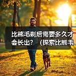 比熊毛剃后需要多久才会长出?(探索比熊毛剃后生长周期的奥秘)(图4) 比熊剃毛后多久长出|毛发生长周期全攻略(图4)