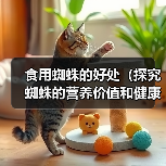 食用蜘蛛的健康益处与营养价值解析
