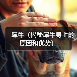 犀牛(揭秘犀牛身上的原因和优势)(图3) 犀牛为何狮子不敢招惹|生态优势全解析(图3)