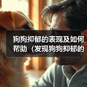 狗狗抑郁的表现及如何帮助(发现狗狗抑郁的重要迹象与关键方法)(图4) 狗狗抑郁表现识别与改善方法|实用指南(图4)