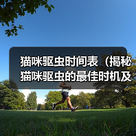 猫咪驱虫时间表(揭秘猫咪驱虫的最佳时机及方法)(图3) 猫咪驱虫时间表|科学安排与实用方法全攻略(图3)