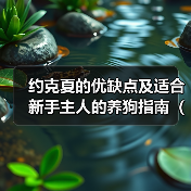 约克夏优缺点分析适合新手养狗指南
