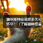 猫咪接种疫苗后多久可怀孕?(了解猫咪疫苗接种与怀孕之间的时间间隔)(图3) 猫咪接种疫苗后多久能怀孕|科学间隔全攻略(图3)
