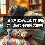 老鹰猫头鹰食性差异全攻略