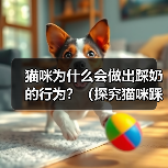 猫咪为什么会做出踩奶的行为?(探究猫咪踩奶行为的原因及意义)(图4) 猫咪踩奶行为的原因及意义全攻略(图4)