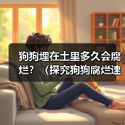 狗狗埋在土里多久会腐烂全攻略(图2)
