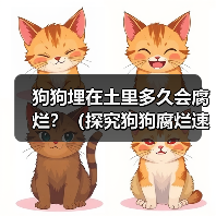 狗狗埋在土里多久会腐烂全攻略(图3)