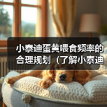 小泰迪喂食蛋黄频率指南｜科学规划营养摄入(图4)