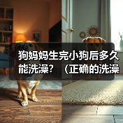 狗妈妈生完小狗后多久能洗澡全攻略