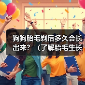 狗狗胎毛剃后多久会长出来全攻略(图2)