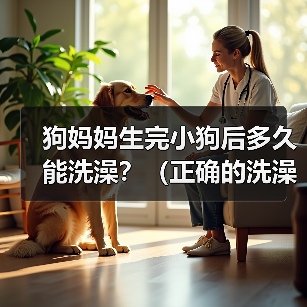 狗妈妈生完小狗后多久能洗澡?(正确的洗澡时间对狗妈妈和小狗的健康至关重要)(图3) 狗妈妈生完小狗后多久能洗澡全攻略(图3)