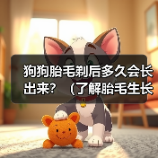 狗狗胎毛剃后多久会长出来全攻略(图3)