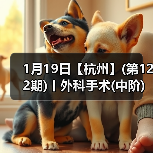 外科手术中阶实操班全攻略(图4)