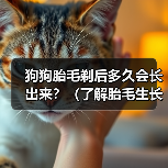 狗狗胎毛剃后多久会长出来全攻略(图4)