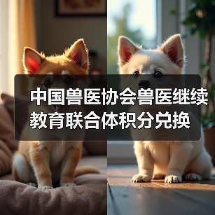 兽医积分兑换活动全攻略