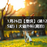 1月26日【重庆】(第125期)丨犬猫外科(高阶)班!含SUB(人人可实操)、乳糜胸等技术!(图2) 犬猫外科高阶实操班技术核心技巧(图2)