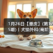1月26日【重庆】(第125期)丨犬猫外科(高阶)班!含SUB(人人可实操)、乳糜胸等技术!(图4) 犬猫外科高阶实操班技术核心技巧(图4)